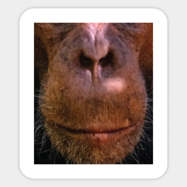 Monkey mouth face mask - monkey lover gifts - monkey face masks Sticker by jack22